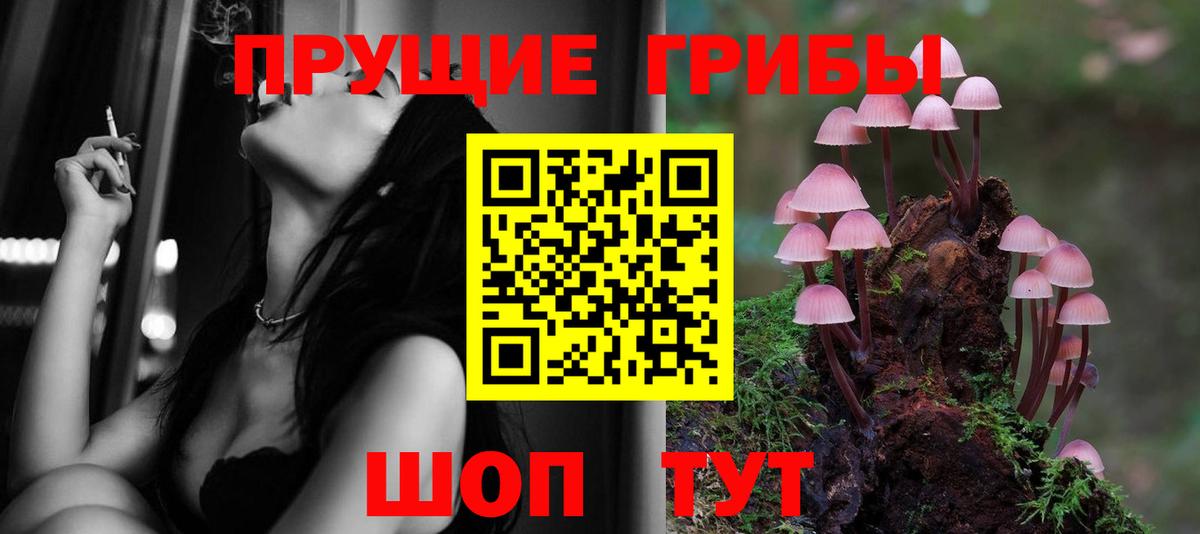 Псилоцибиновые грибы мицелий  Вход с VPN  Галлюциногенные грибы ЛСД  Избербаш 